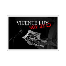 Cargar imagen en el visor de la galería, Vicente Luy 2 Kiss-Cut Stickers by Insignia